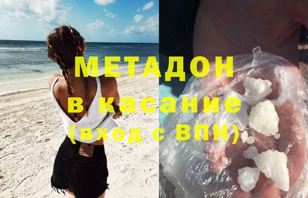 прущие грибы Елабуга