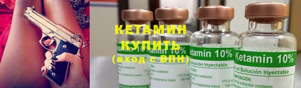 МДПВ Ельня