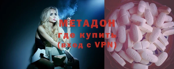 прущие грибы Елабуга