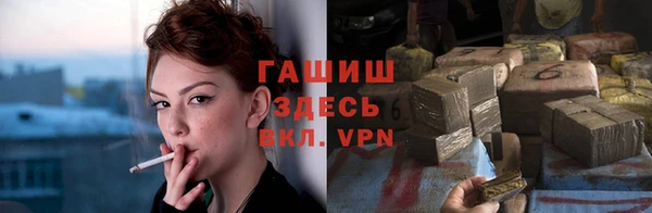 прущие грибы Елабуга