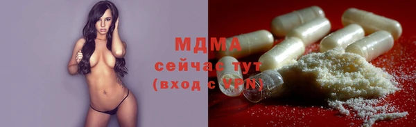 МДПВ Ельня