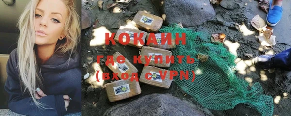 прущие грибы Елабуга