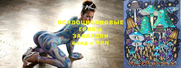 ГАЛЛЮЦИНОГЕННЫЕ ГРИБЫ Заволжск