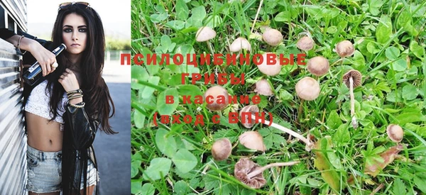 амфетамин Елизово