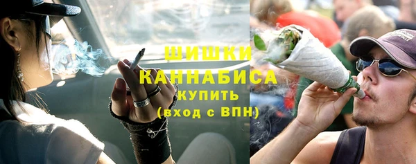 МДПВ Ельня